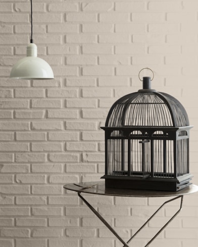 Painted walls with Mocha Cream CC-458